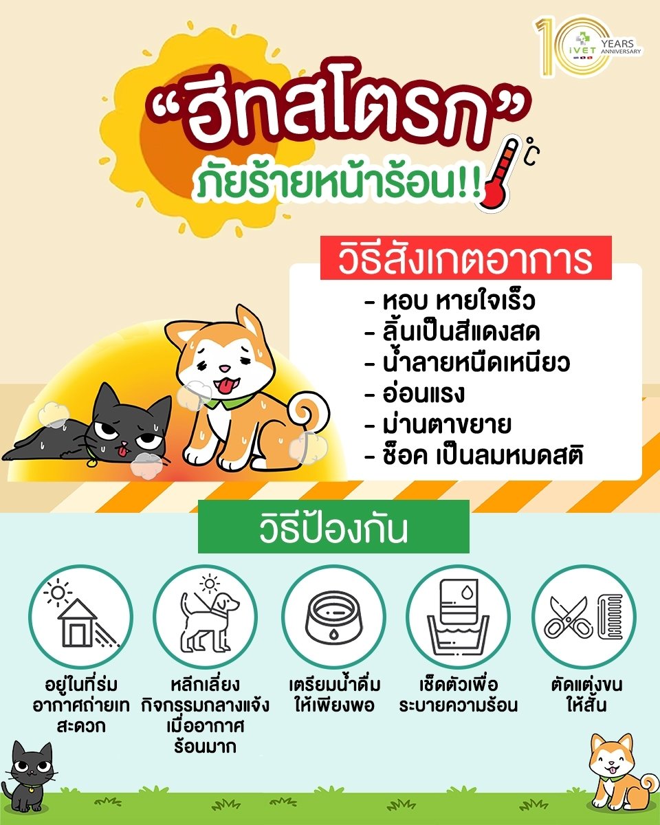 “ฮีทสโตรก” ภัยร้ายหน้าร้อน “ฮีทสโตรก” ภัยร้ายหน้าร้อน